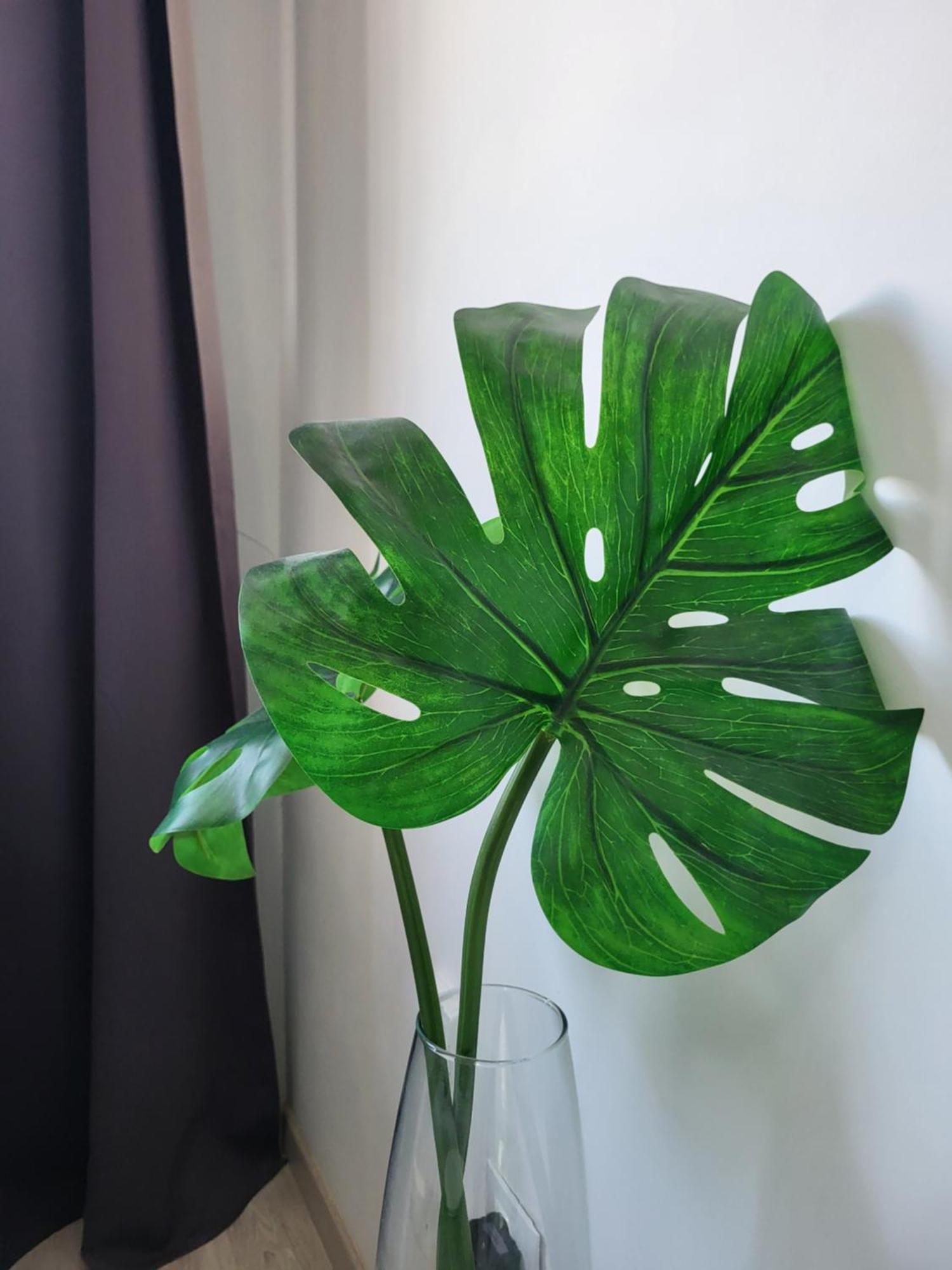 Mar Y Sol Coral Holiday Dream 洛斯克里斯蒂亚诺斯 外观 照片